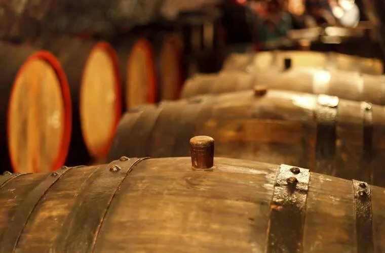 Wine Tasting with Poderi Elia 