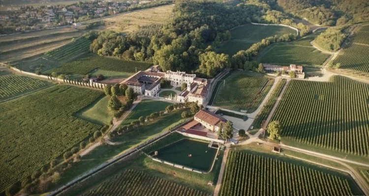 Wine Tasting with Villa Mosconi Bertani