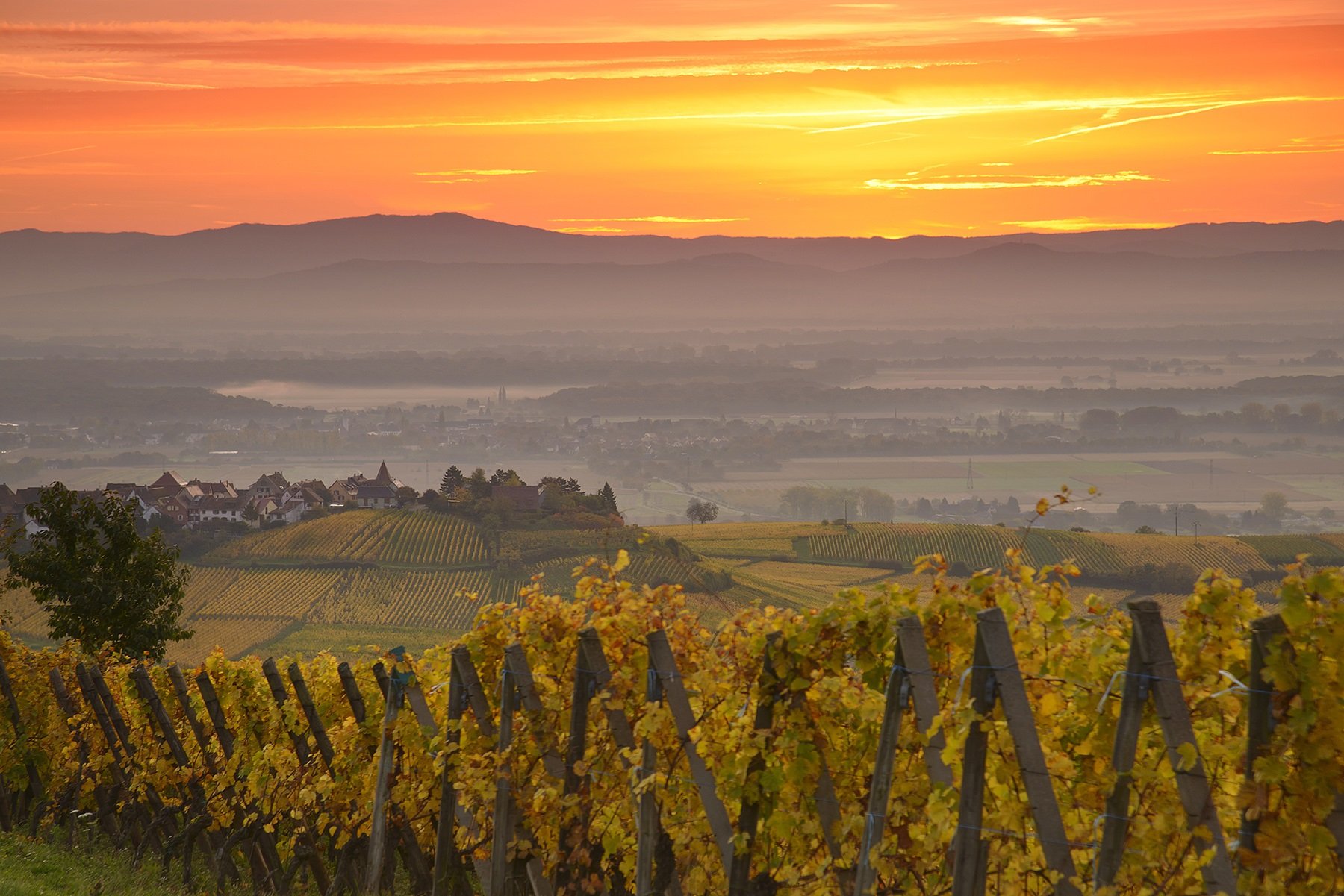 Gaggiano Wine Tasting