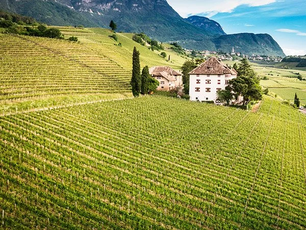 Alois Lageder Wine Tasting
