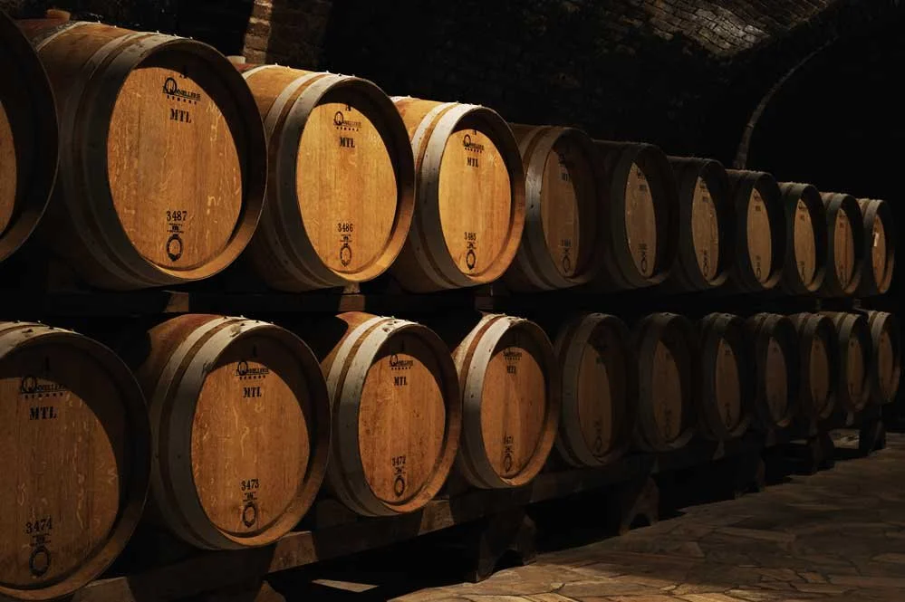 Felsina Wine Tasting