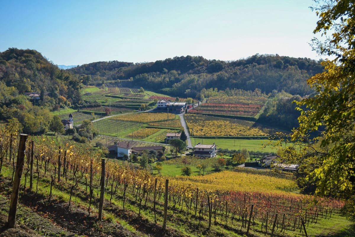 Due del Monte Wine Tasting