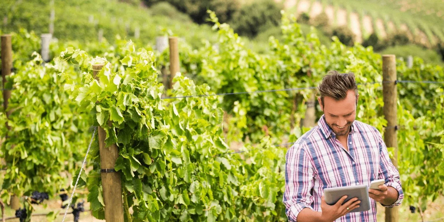 Cardedu Wine Tasting