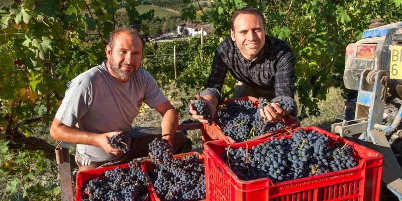 Il Poggiarello & Francone Wine Tasting