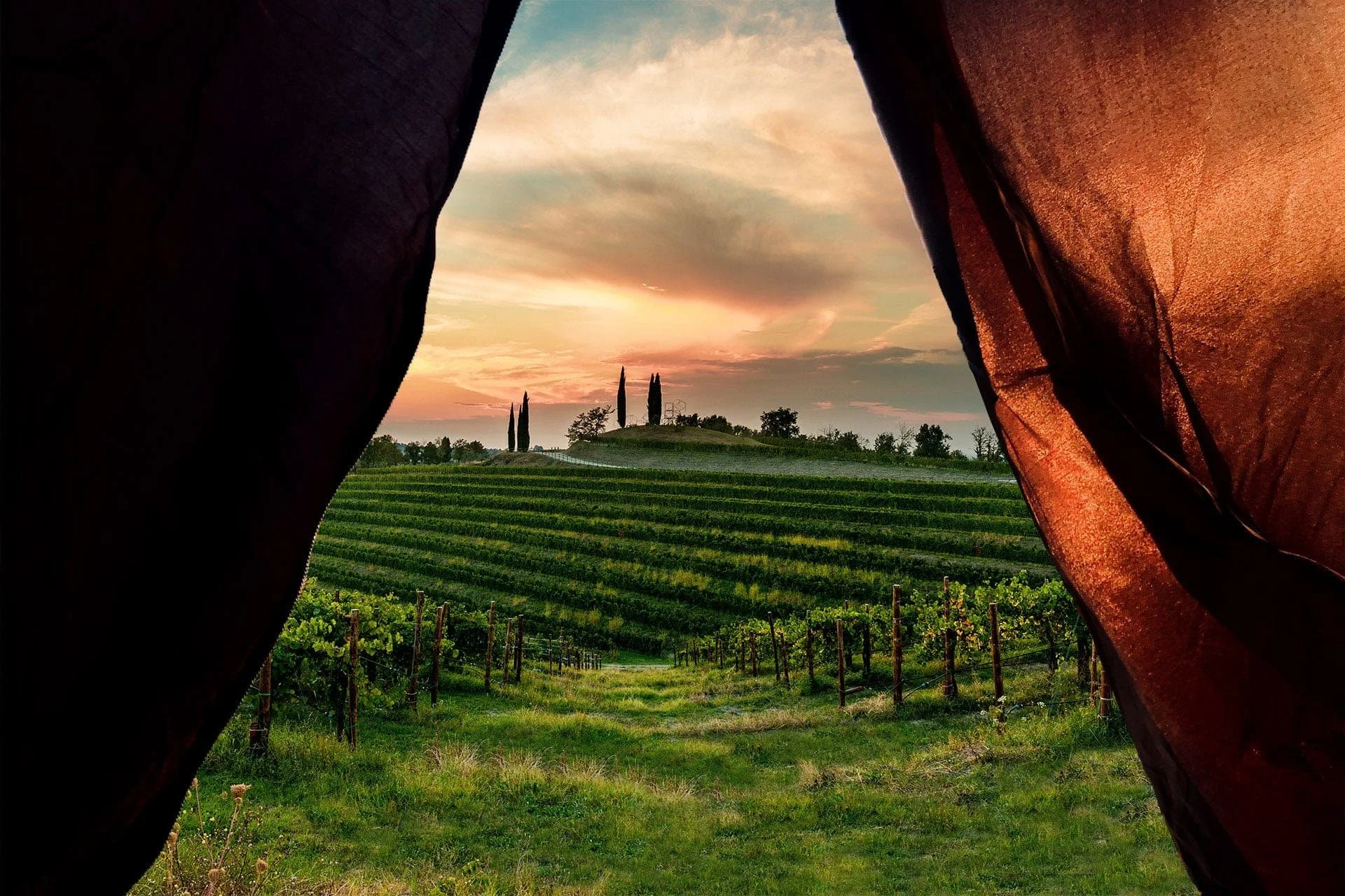 Poggio delle Grazie Tasting