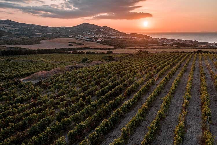 Janna e Mare Tasting