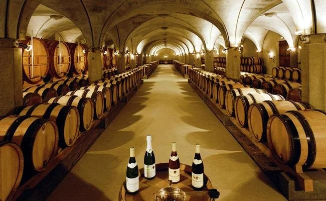 Burgundy Tasting