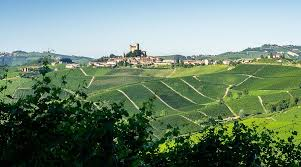 Sicily/Sardegna Tasting