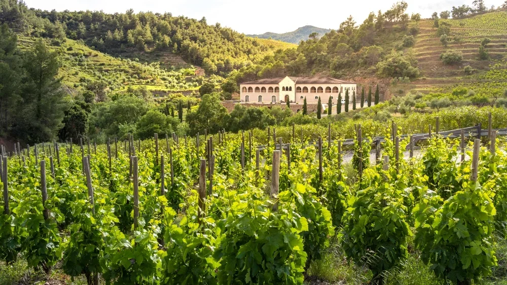 Southern Rhone Flight