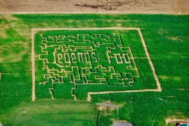 2026 marks Legends of the Fog's 20th Year of Fear. Here's an aerial shot of the corn maze in 2009, when it was called 'The Maze of Darkness'. 

Do you have a pic from your first legendary experience? Post below with the year - we&rsquo;re looking for