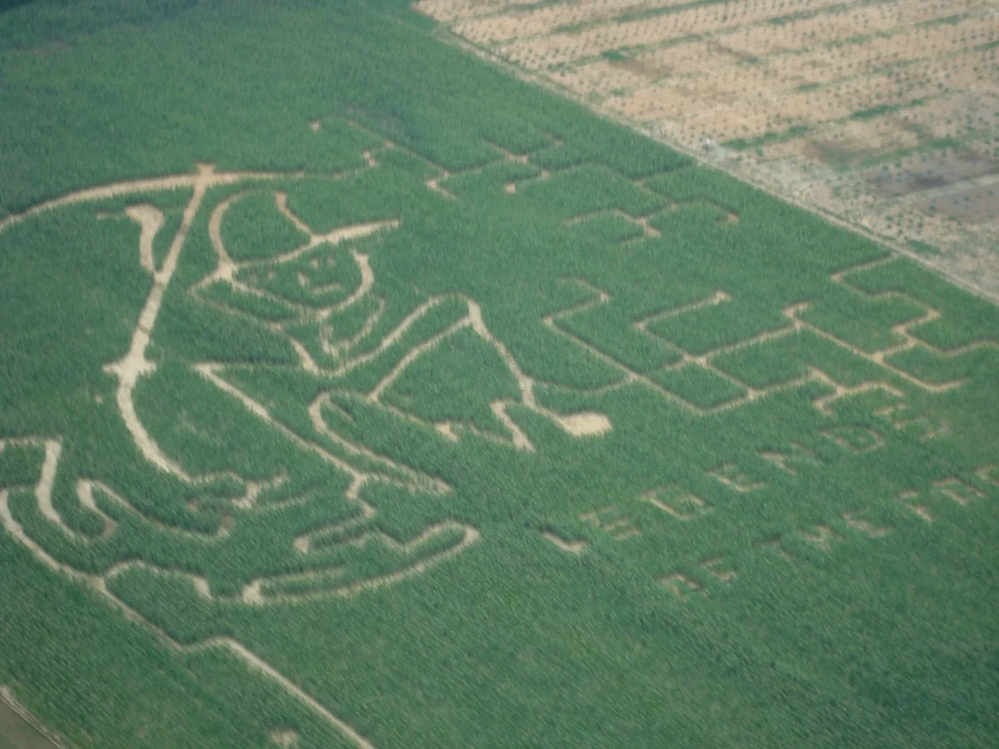 Bringing back #tbt and looking back to our first ever corn maze from season one. Were you ever a part of our Fog team? Sign up for alumni updates (link in bio) and join us as we celebrate season 20 this year!