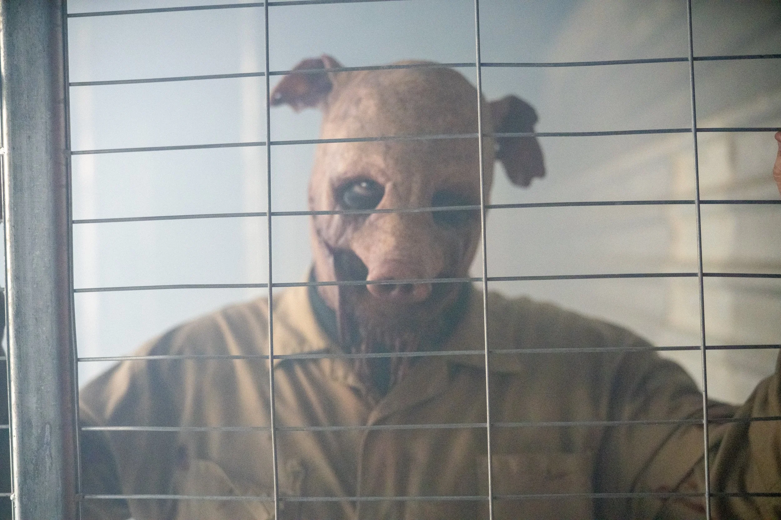 Frightening pig masked man behind a cage fence.