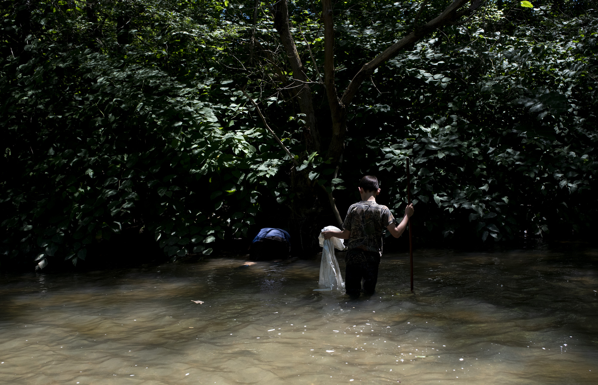 Adyn Clemens watches as John Clemens, of Irwin, look under the brush and tree root for snapping turtle in Sewickley Creek in Sewickley twp on July 7, 2018.
