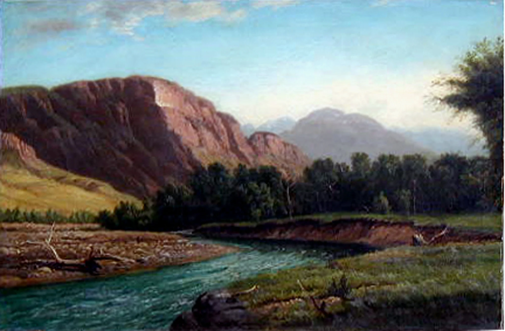 Henry Howard Bagg