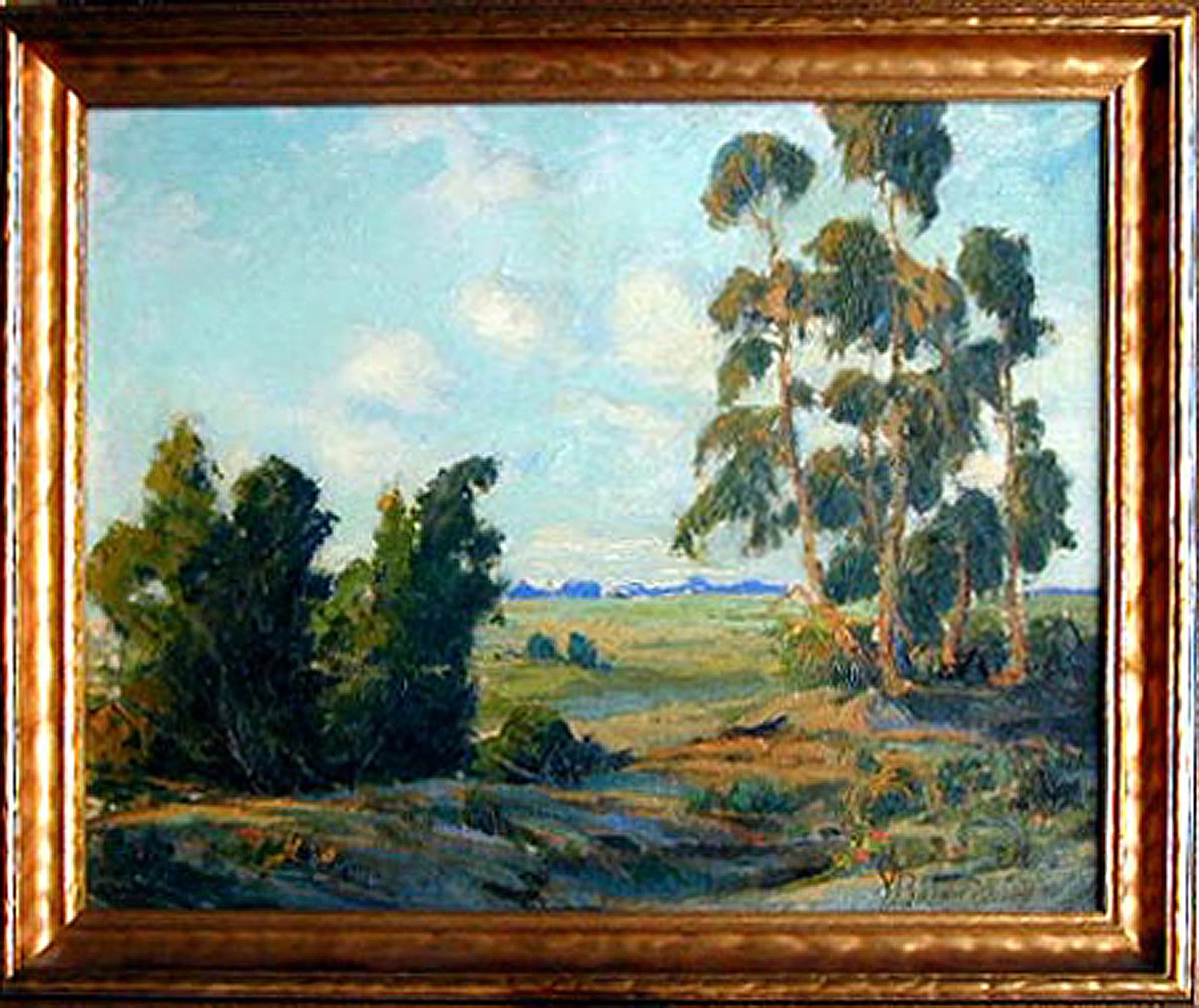 Clifford Park Baldwin
