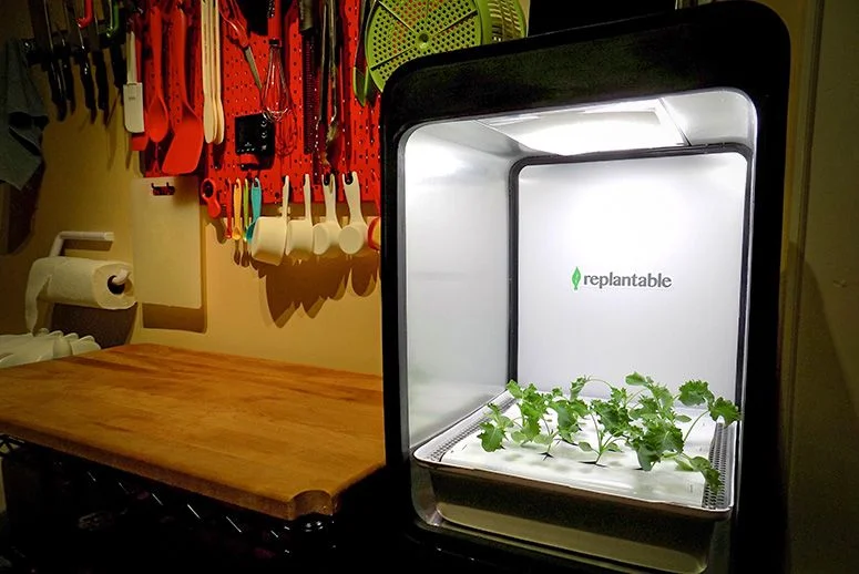 (Photo: Courtesy Replantable) 