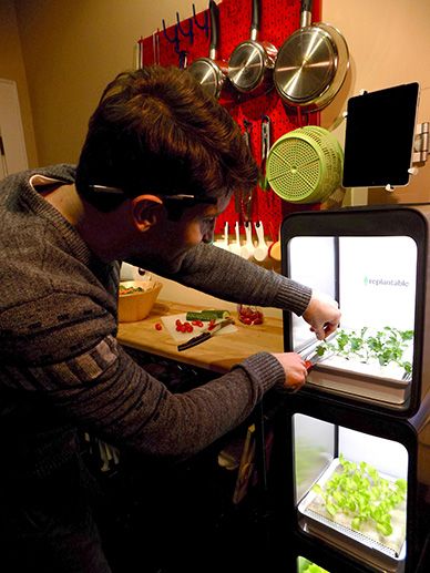 (Photo: Courtesy Replantable) 