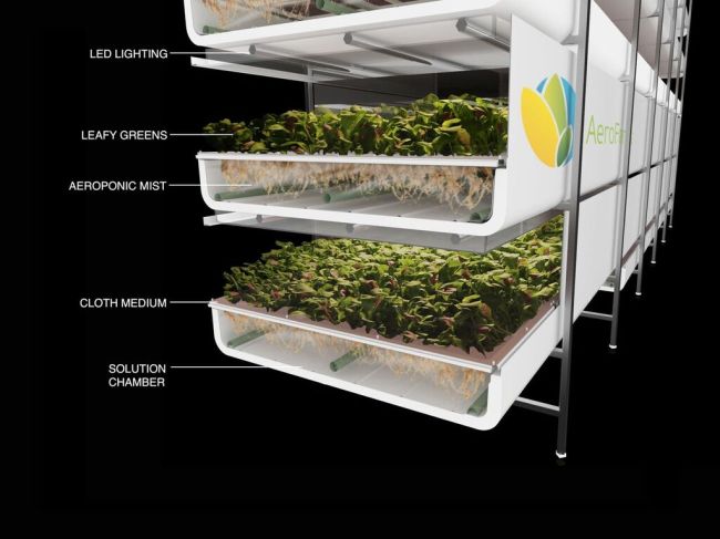 An illustrated image of AeroFarms' vertical farming (AeroFarms)