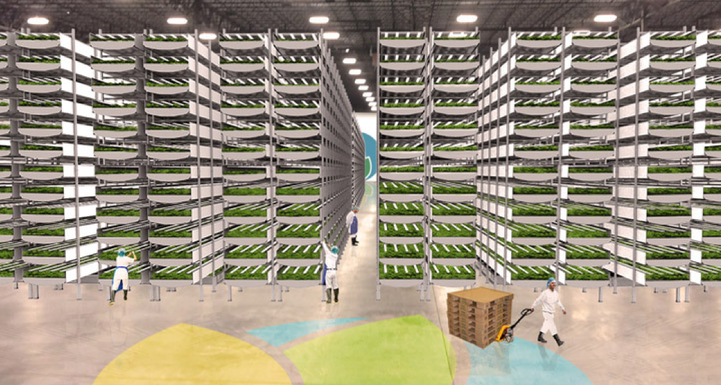 AeroFarms is currently building the world’s largest vertical farm in Newark, NJ. (Credit: AeroFarms)