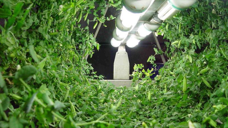 Photo: Urban Led Growth
