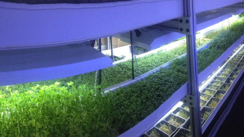 Photo: GreenFarms