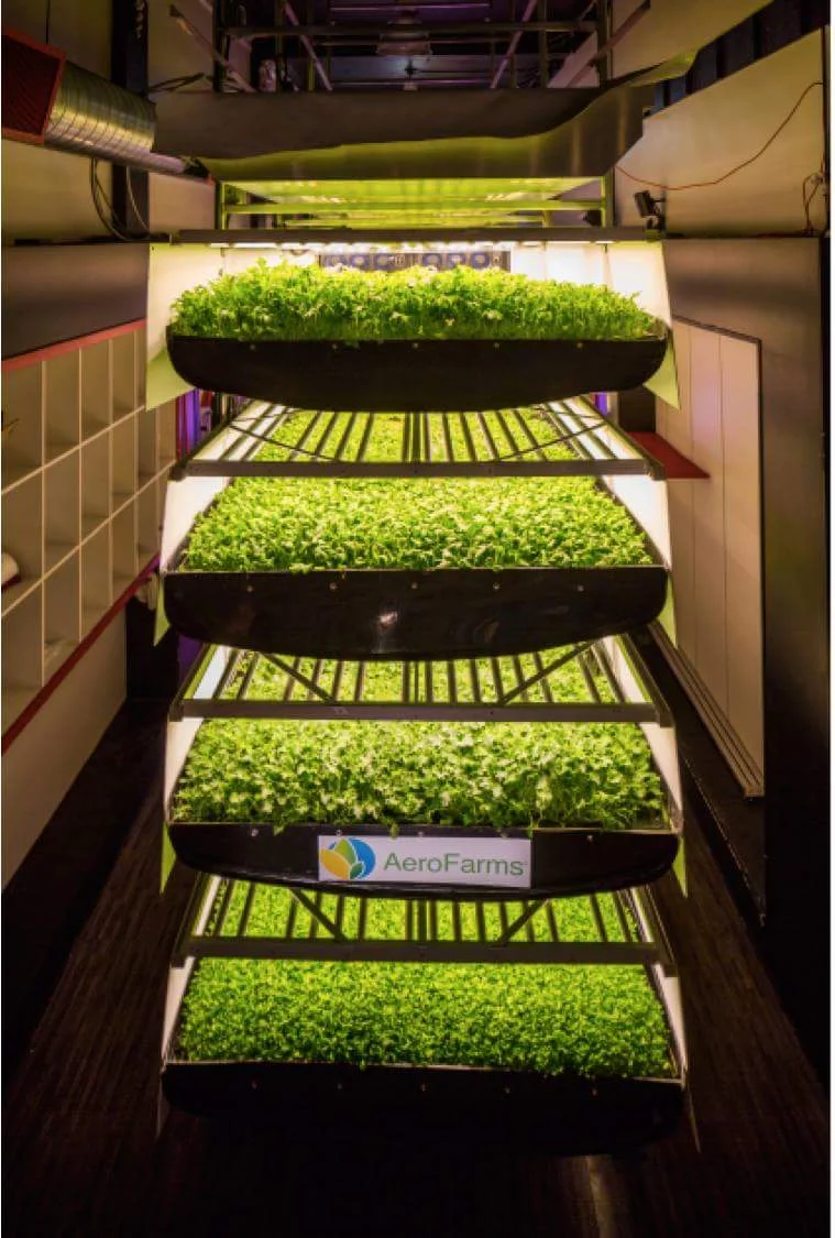 AeroFarm hasn't started vertically farming on an industrial scale, yet.&nbsp;