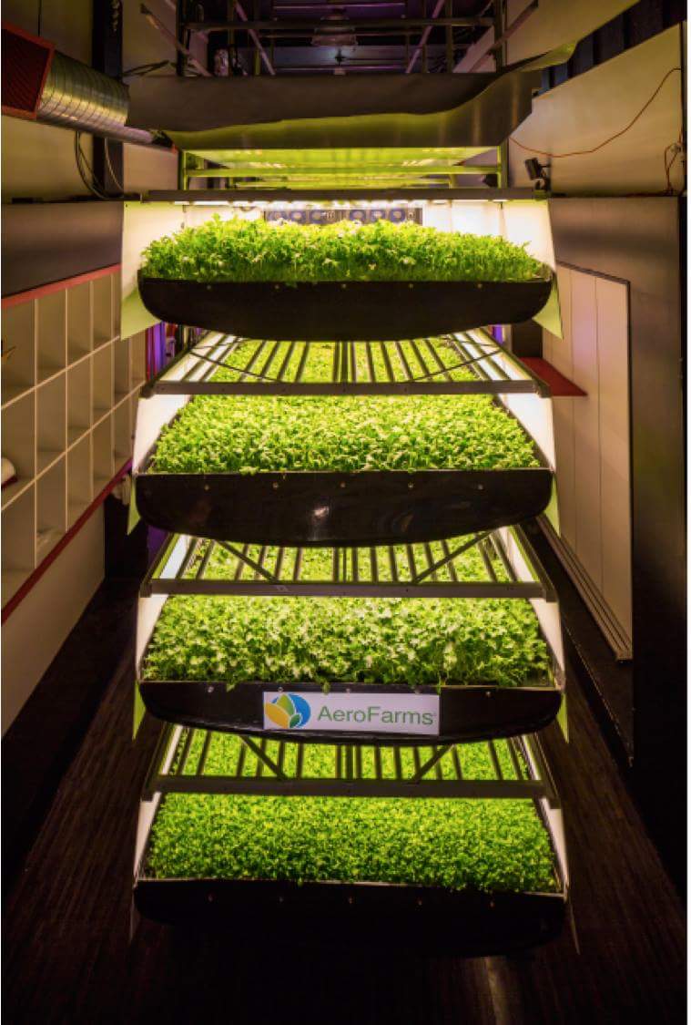 AeroFarm hasn't started vertically farming on an industrial scale, yet. 