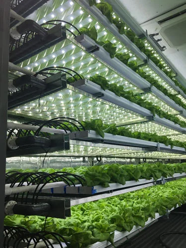 3063275-slide-7-take-a-3d-tour-of-a-vertical-farm-packed-inside-a-shipping.jpg