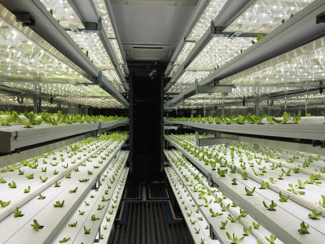 Take A 3D Tour Of A Vertical Farm Packed Inside A Shipping Container
