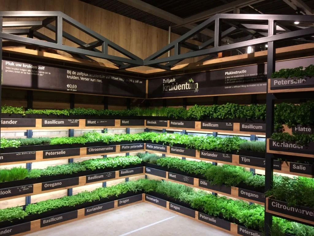 FARM IN SUPERMARKET.jpeg