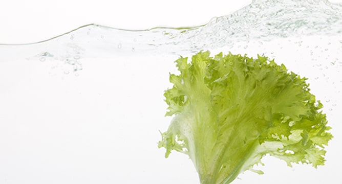 Spread says lettuce costs will be the same as regular produce. Source: Spread
