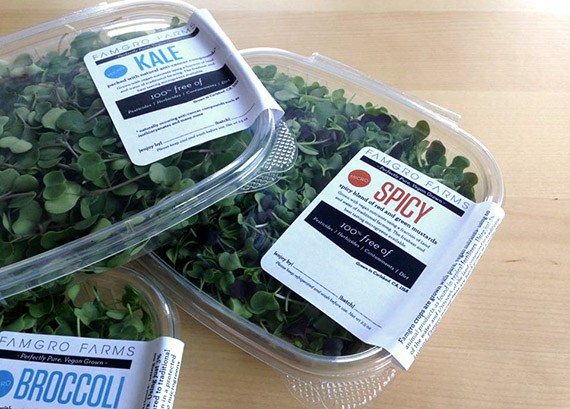 Famgro Farms promotes its products as being free of pesticides and herbicides.