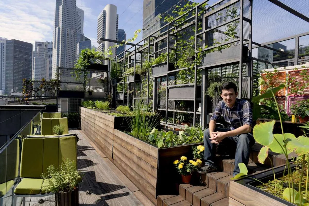 Urban Farming In Singapore Has Moved Into A New High Tech Phase