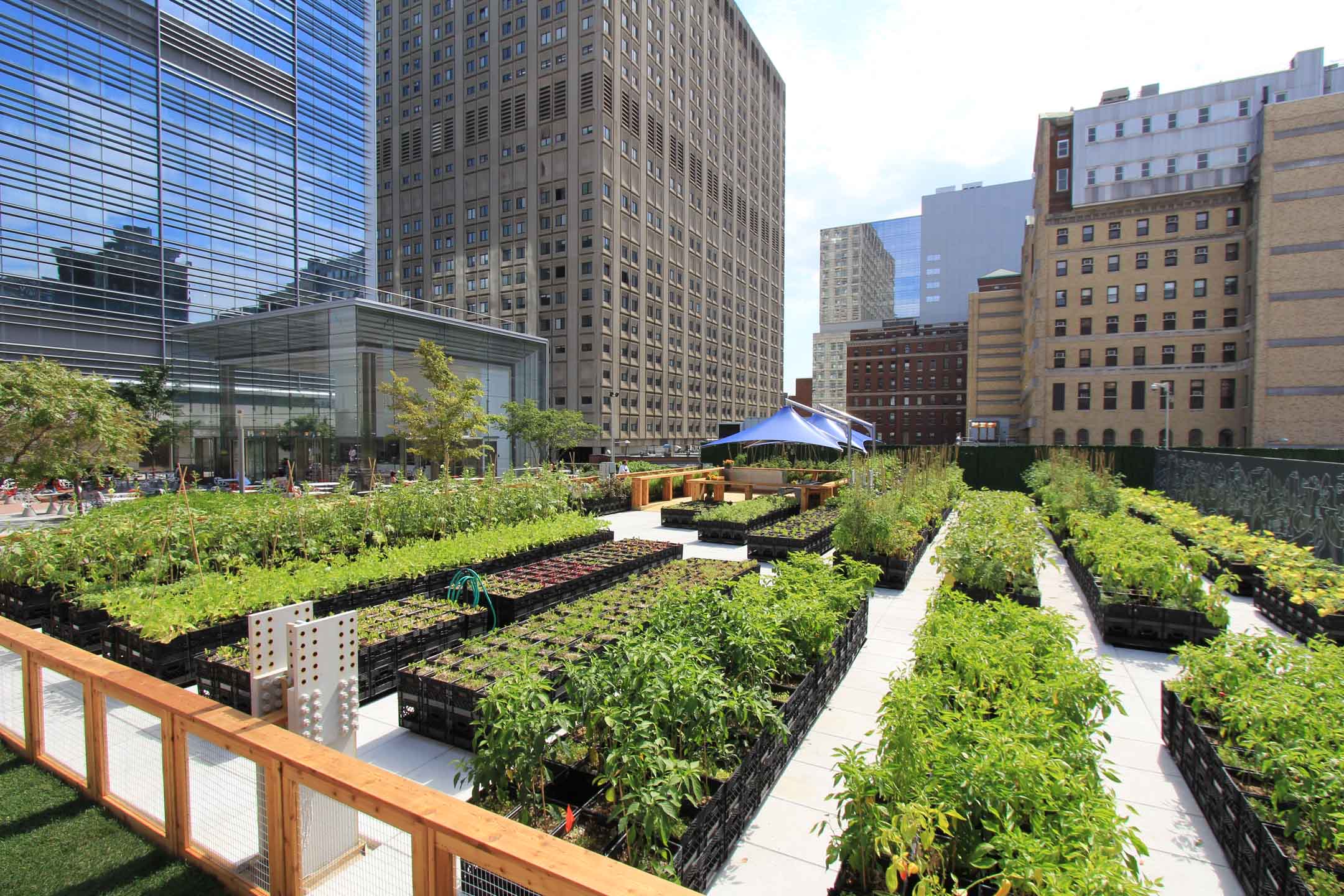 Riverpark, courtesy ORE Design