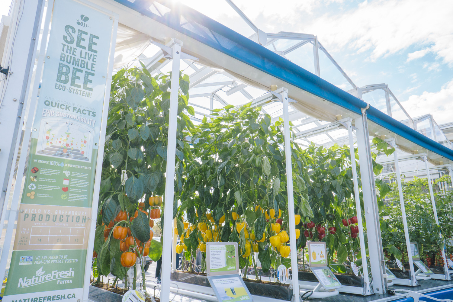 NFF-Greenhouse_Education_Center-6-6July2017.jpg