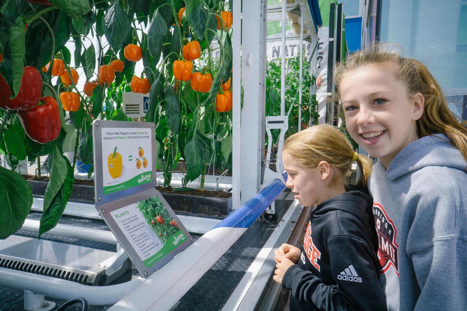 NFF-Greenhouse_Education_Center-2-6July2017.jpg