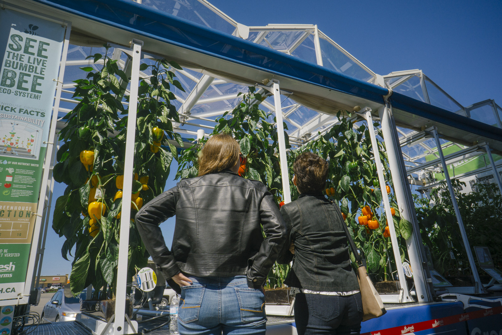 NFF-Greenhouse_Education_Center-1-6July2017.jpg