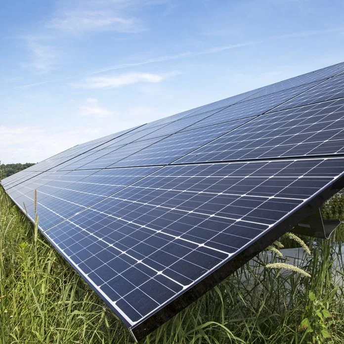 Solar Farm panels on the former Greenwood Street Landfill.&nbsp;Elizabeth Brooks photo.