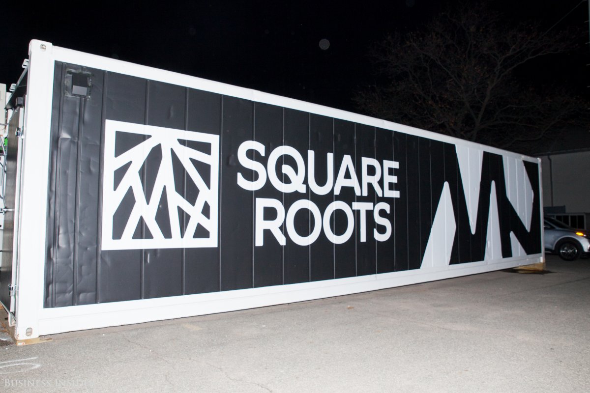 The Square Roots farms in Brooklyn sit between an old Pfizer factory and the apartment building where Jay-Z grew up. &nbsp;Sarah Jacobs