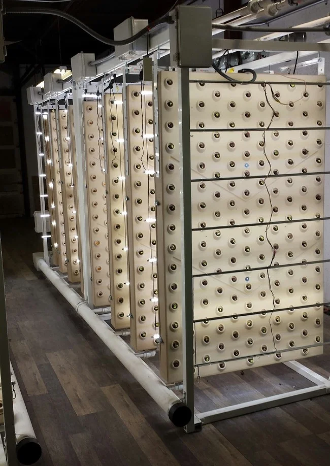 Unlike all other commercial scale Indoor Farm equipment, Indoor Farms of America patented equipment does not require ladders or skylifts to operate, and grows 40 plant sites per square foot in just 8 feet of ceiling height.