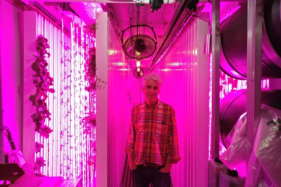 Shane Witters Hicks/Staff