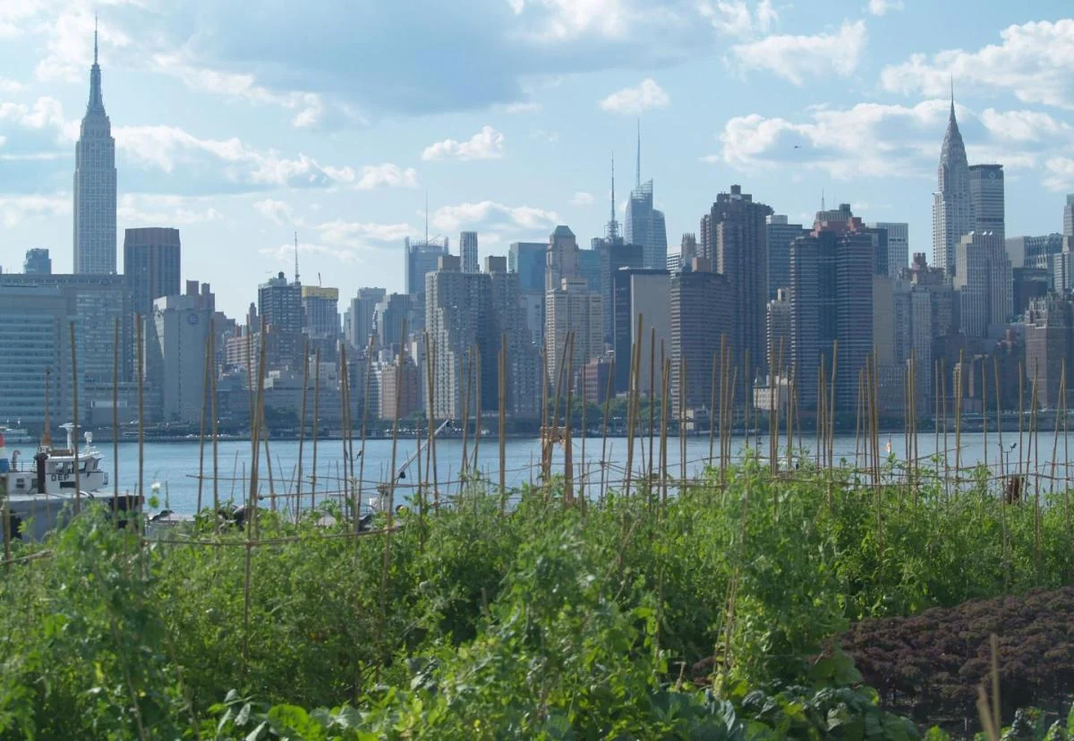 Bring On Next-Gen Urban Farming: Usher In A New Era Of Food Production in New York City