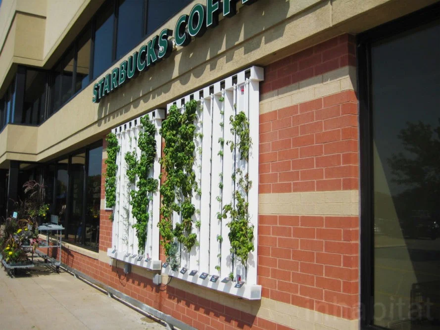 Fridays-Fresh-Market-Hy-Vee-Grow-Wall-889x667.jpg