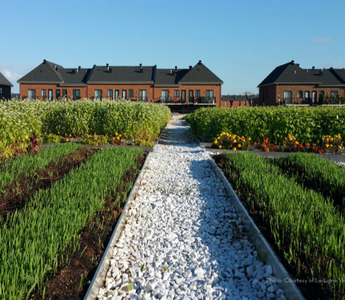 Screen Shot 2017-09-07 at 8.31.49 PM.png