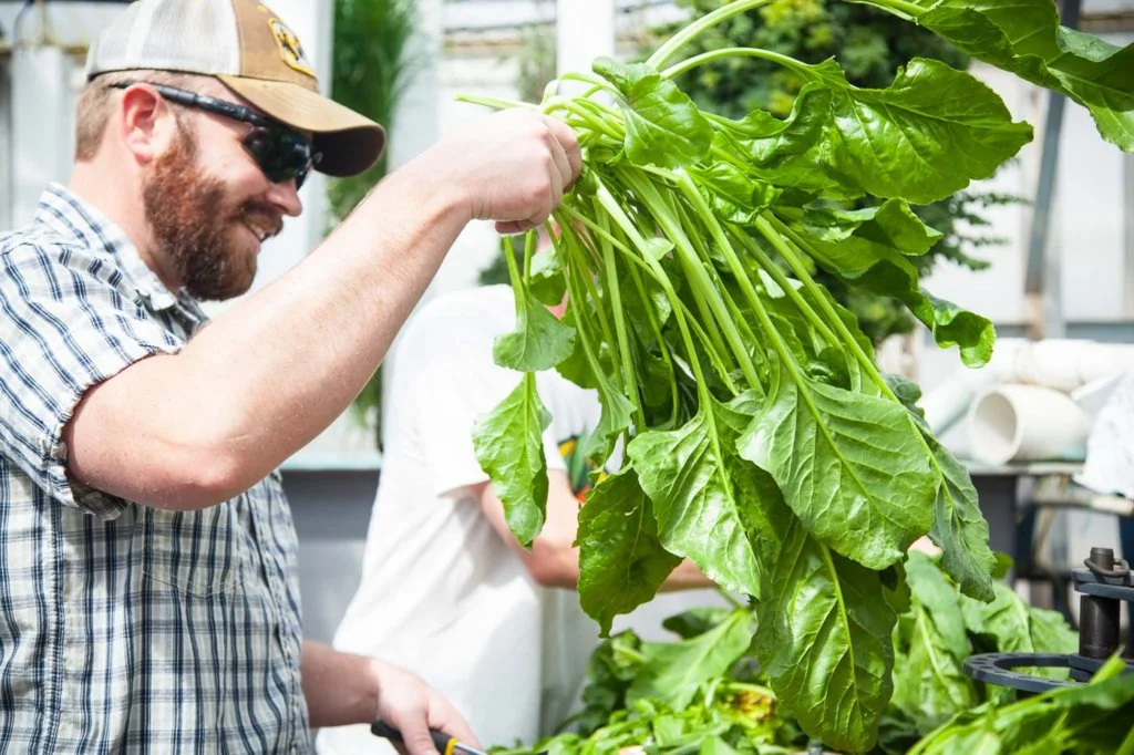 The NOSB’s upcoming recommendation will impact real farmers across the U.S.