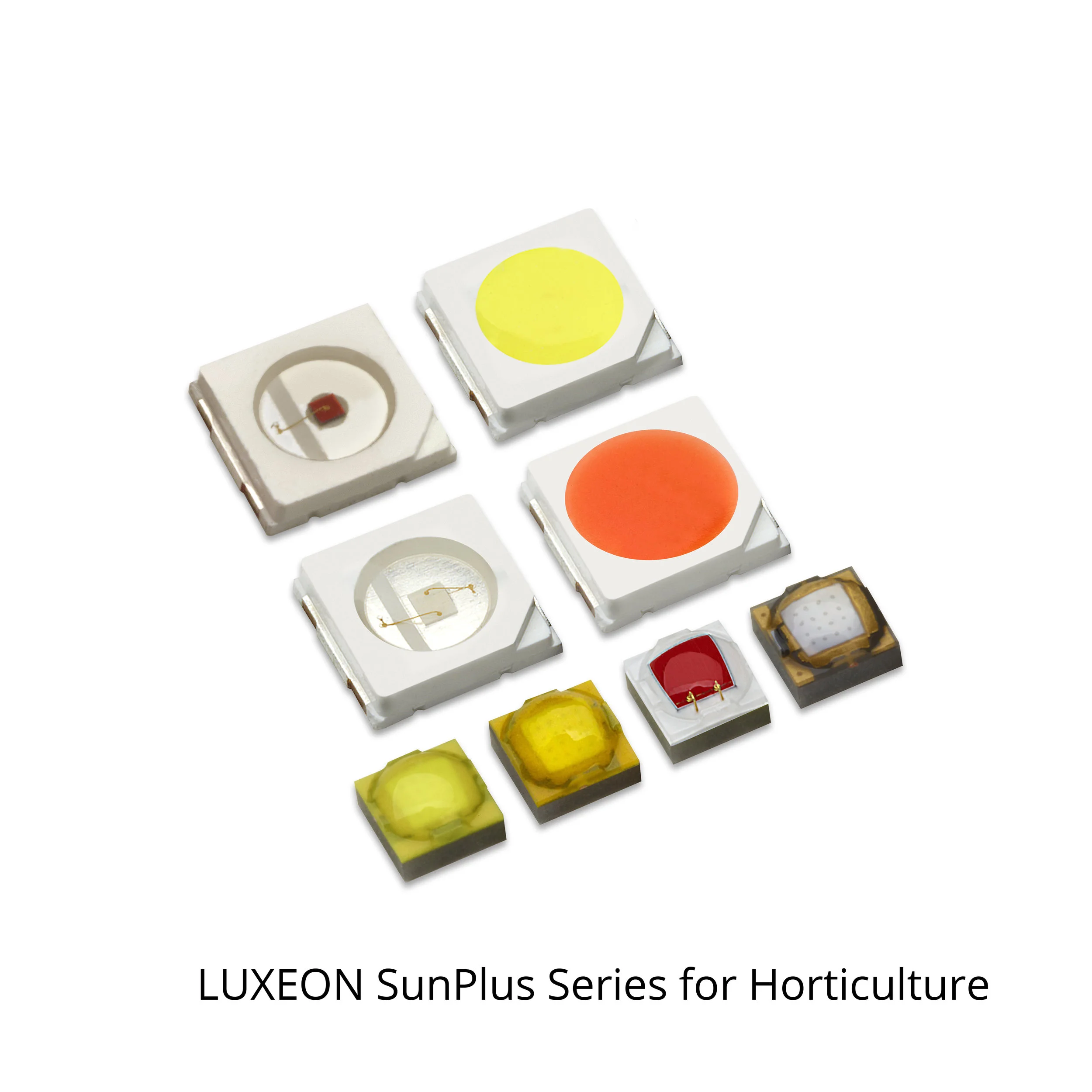 LUXEON SunPlus_Group_PlusReds_Angle_Label.jpg