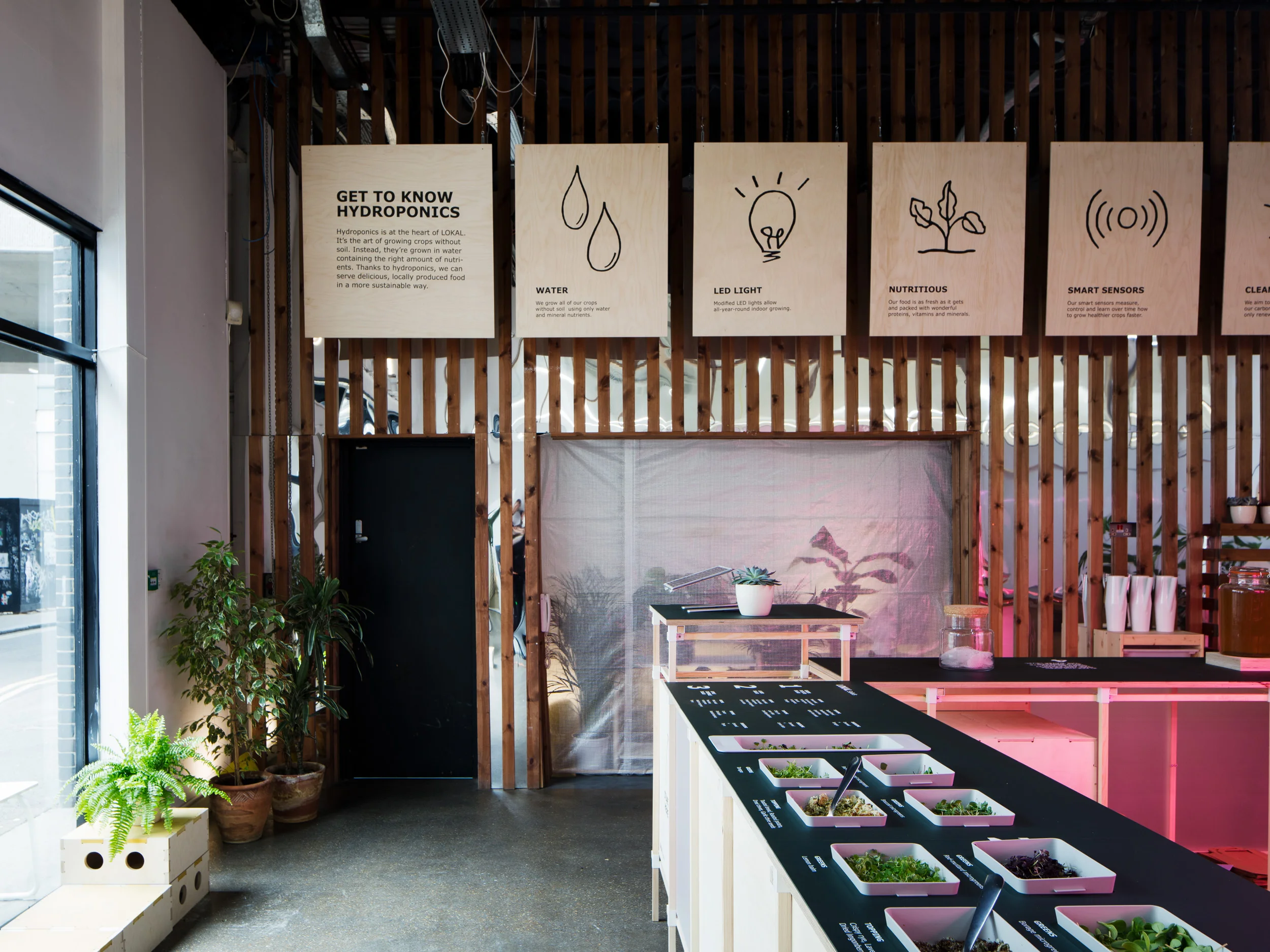 LOKAL_photo_Rory Gardiner_3.jpg