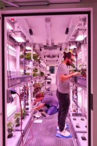 EDEN-ISS-crop-harvesting-Photo-Bruno-Stubenrauch_sm-200x300.jpg