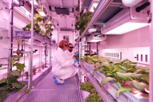 EDEN-ISS-LED-light-Photo-Bruno-Stubenrauch_sm-300x200.jpg
