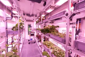 EDEN-ISS-Future-Exploration-Greenhouse-Photo-Bruno-Stubenrauch_sm-300x200.jpg